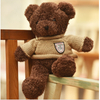 Hot Selling Cheap High Quality Record Voice Stuffed Classic And Famous Plush Toys Animal Bear