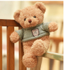 Hot Selling Cheap High Quality Record Voice Stuffed Classic And Famous Plush Toys Animal Bear