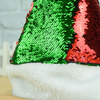 2 Tone Colors Sequins Christmas Hat Christmas Decoration Hat